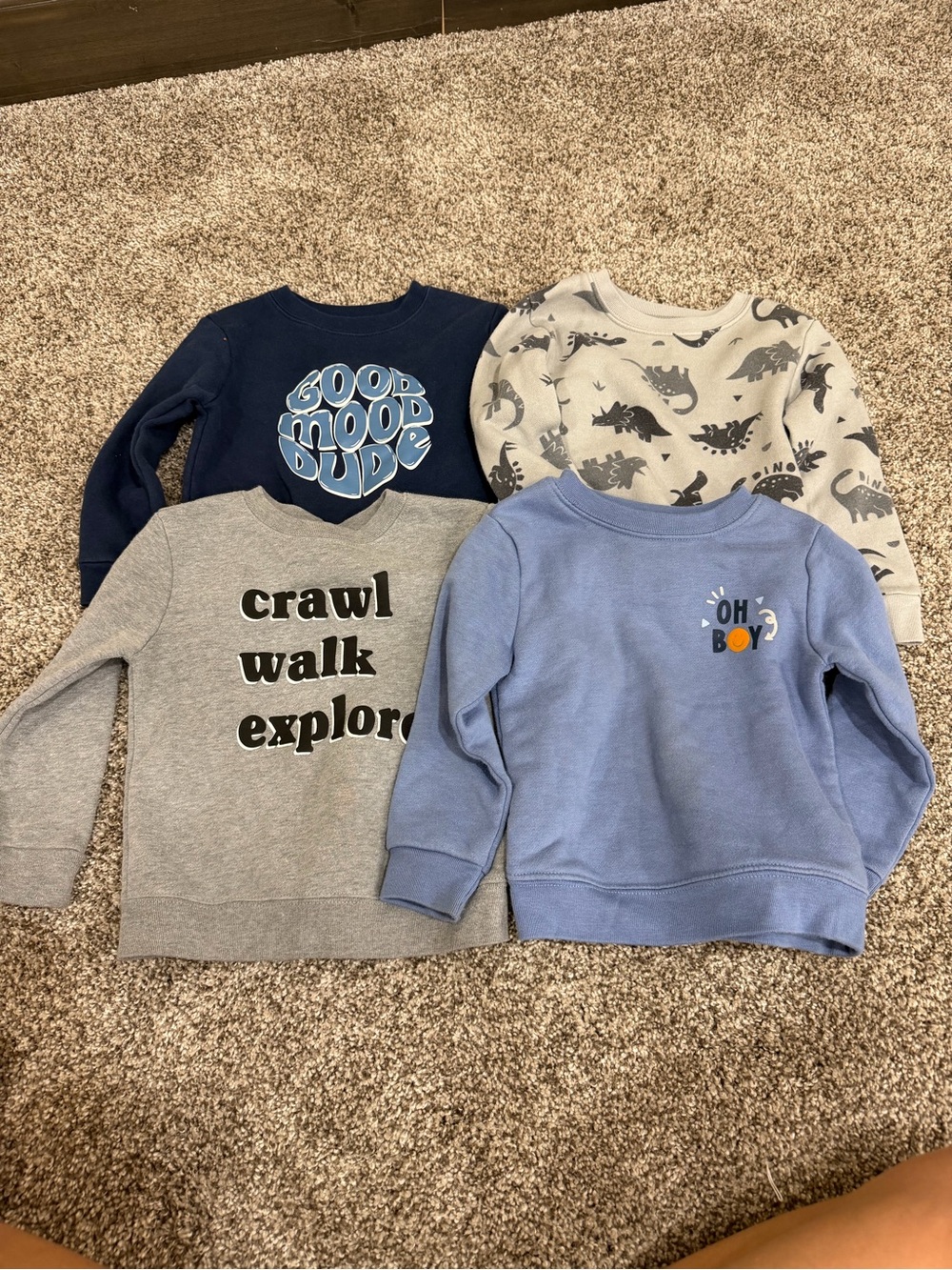 Garanimals Kids Crewneck Sweatshirt Bundle - Navy, Light Blue, Gray, Cream